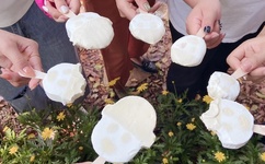 2019一本大道香蕉大在线